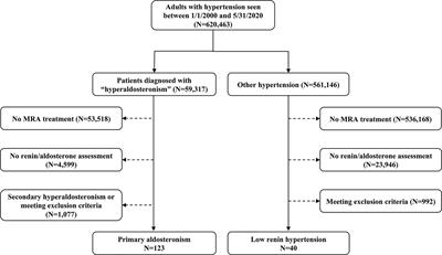 Real-World Effectiveness of Mineralocorticoid Receptor Antagonists in Primary Aldosteronism